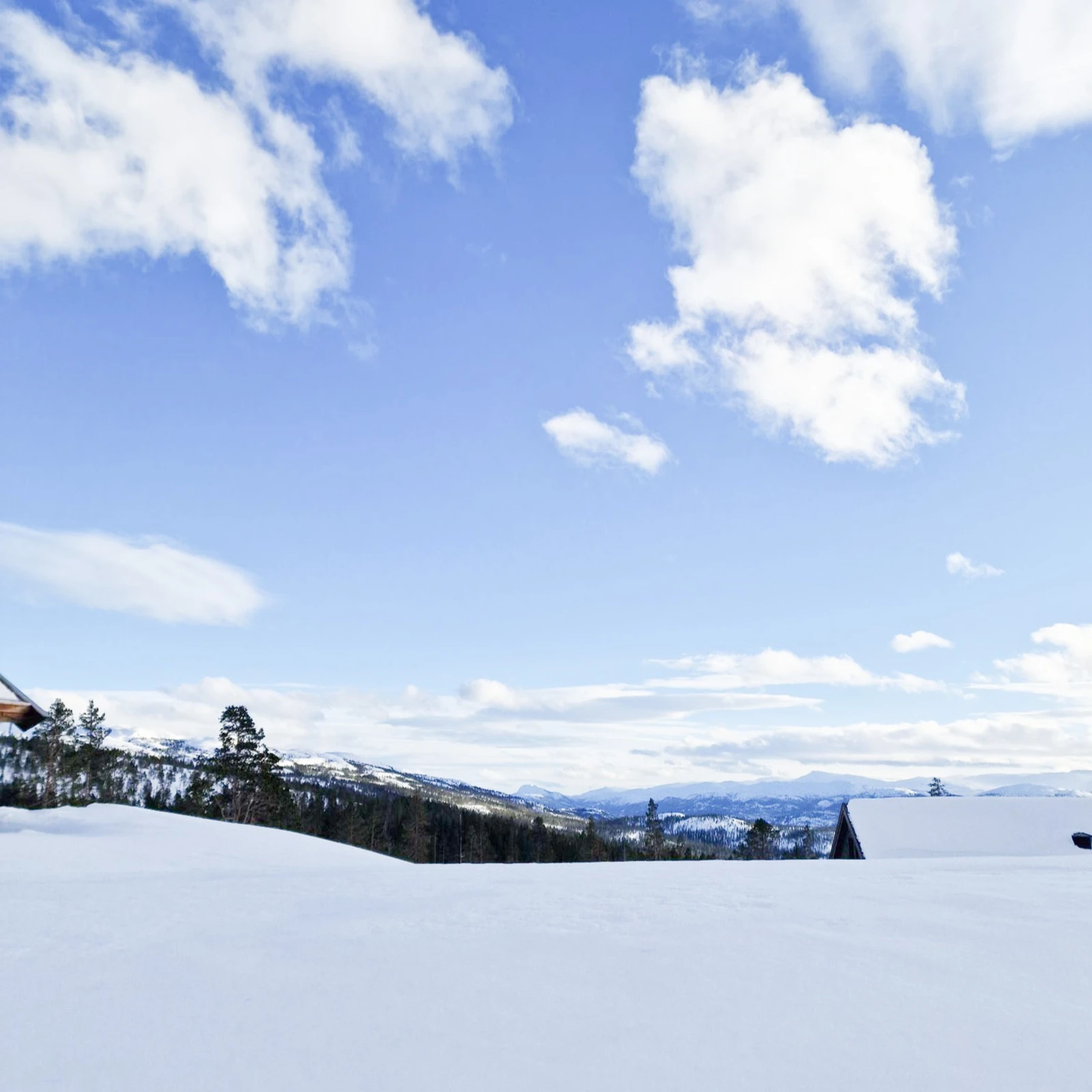 Foto fra tomt Galleribilde