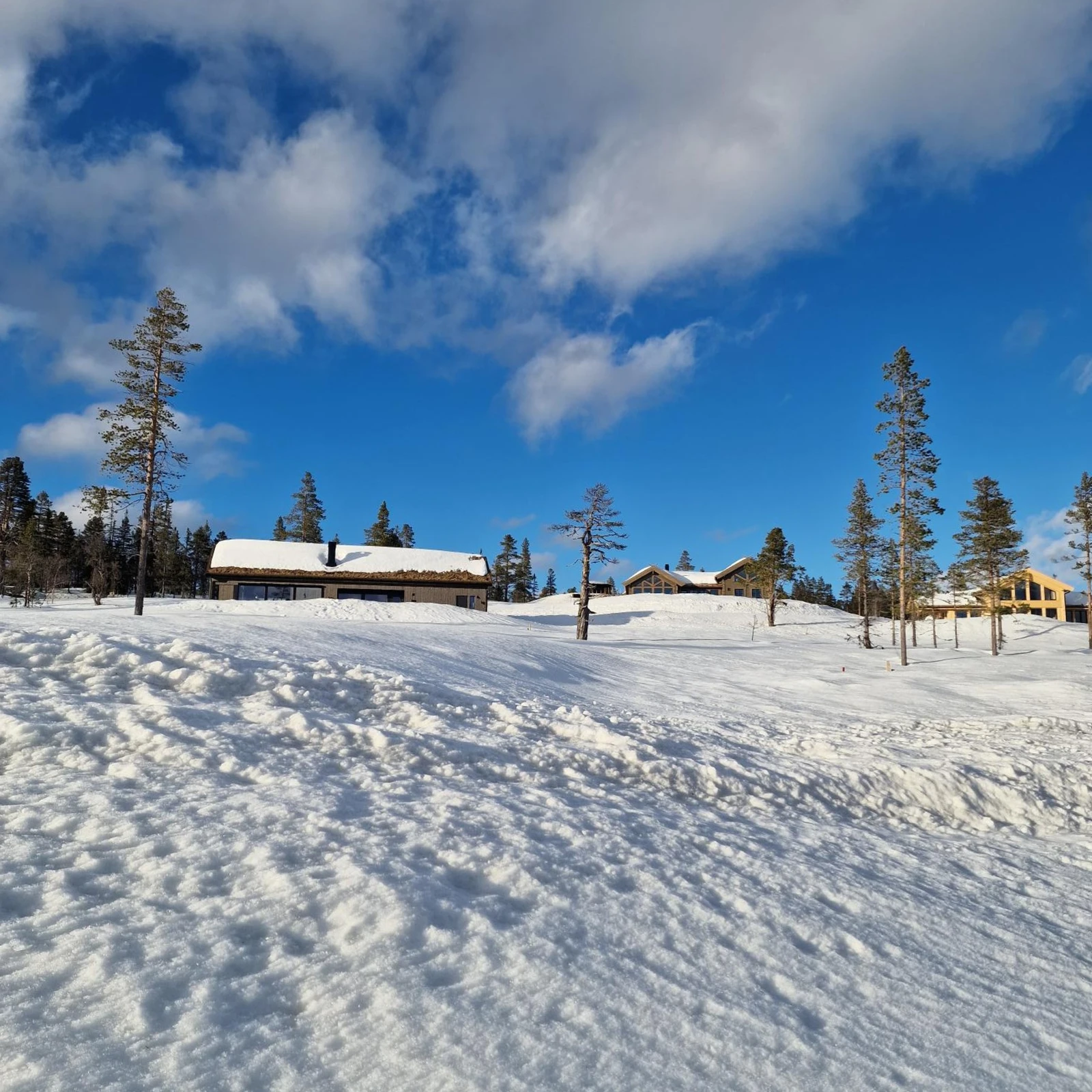 Foto fra tomt Galleribilde