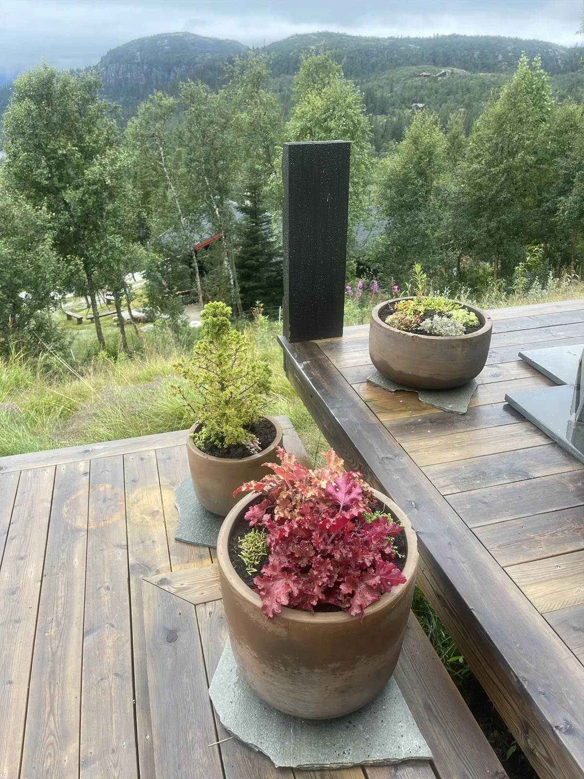 Privat bilde Galleribilde