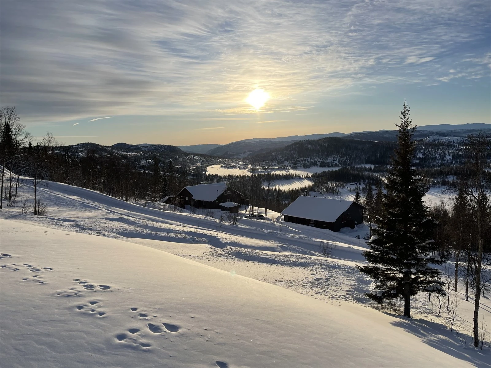 Privat vinterbilde Galleribilde