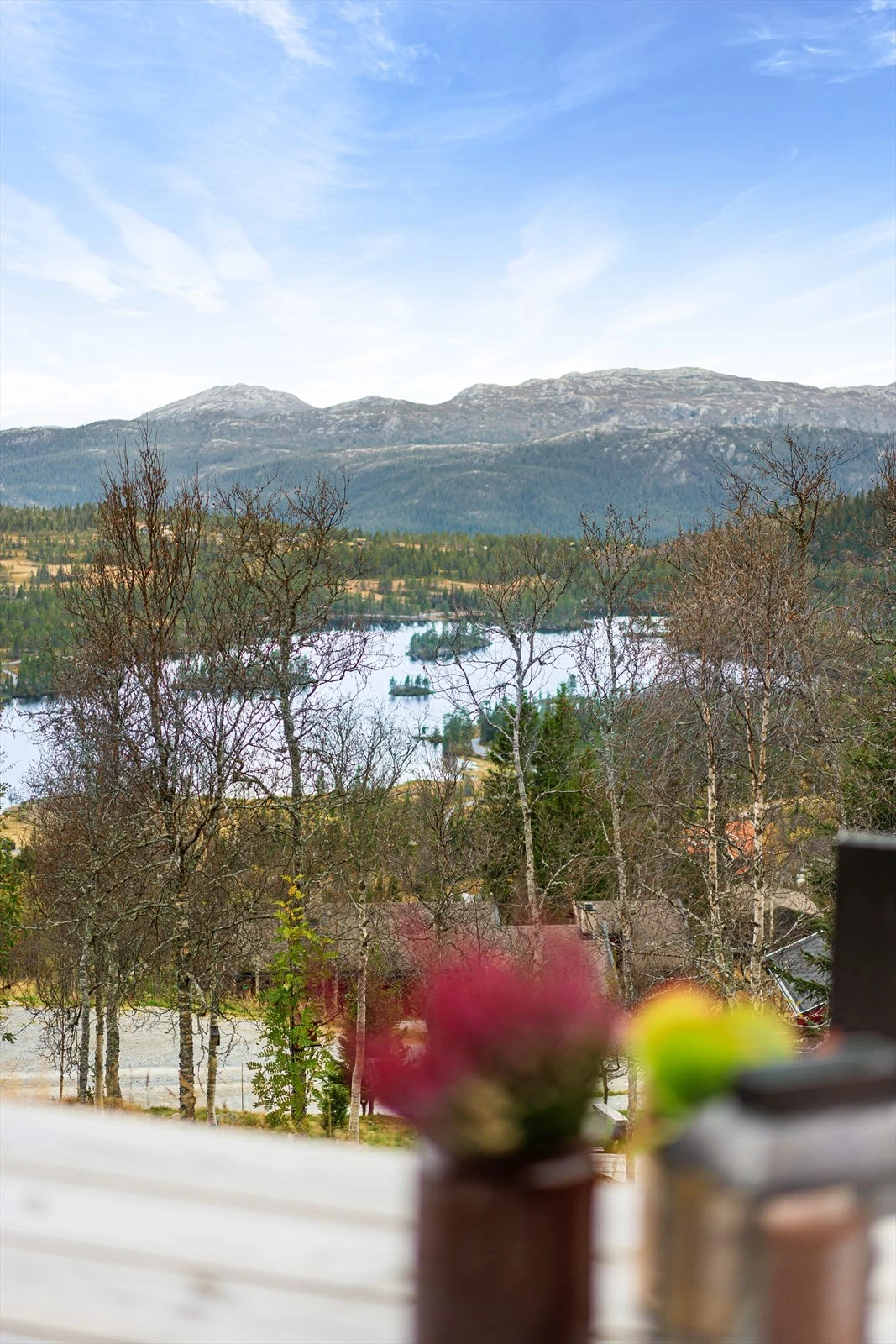 Velkommen til en hyggelig visning! Galleribilde