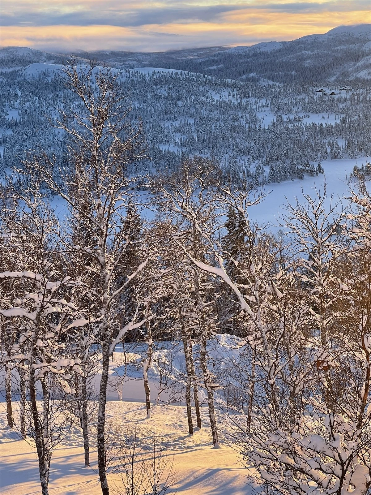 Privat vinterbilde Galleribilde