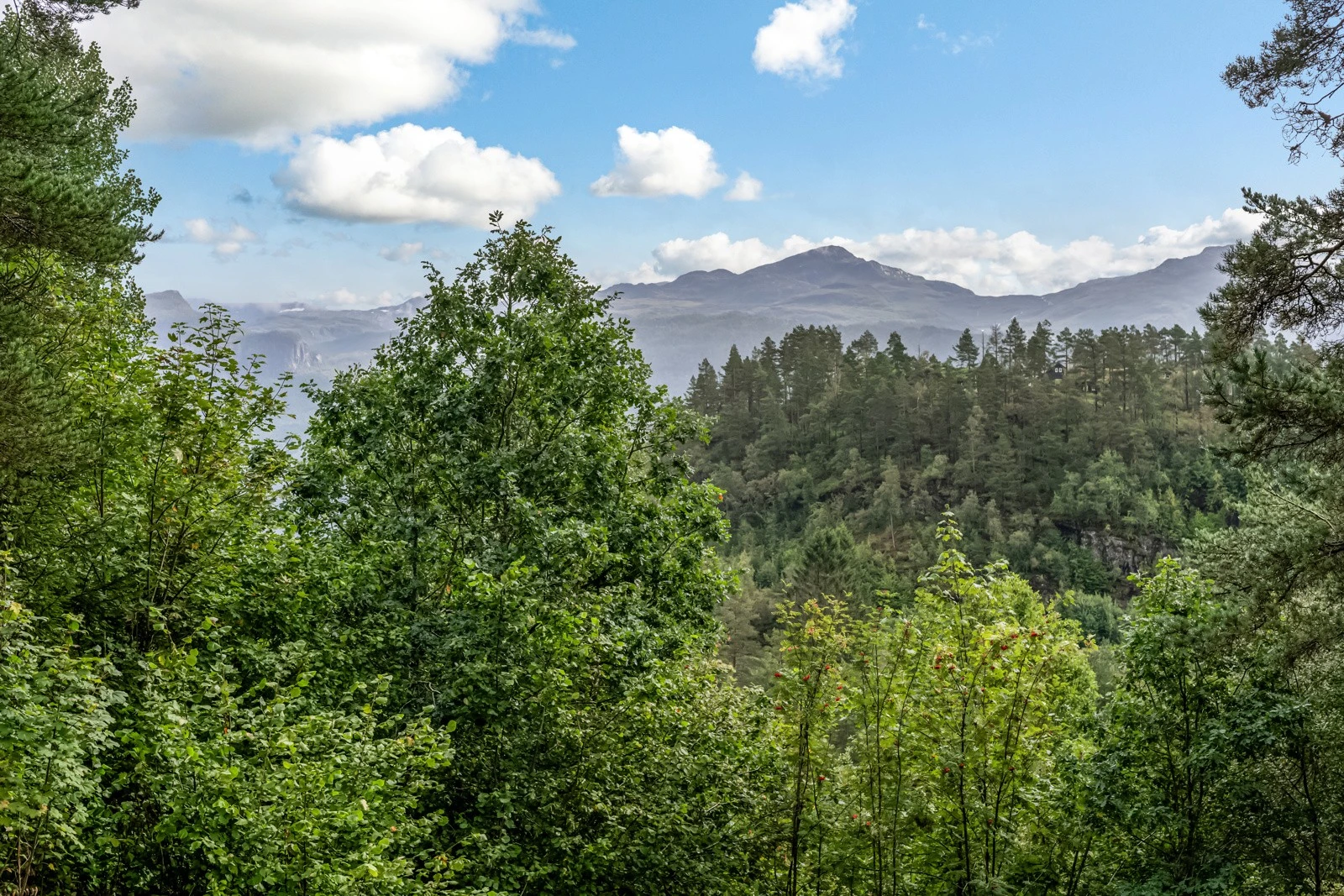 Sjekk ut utsikten du får! Galleribilde
