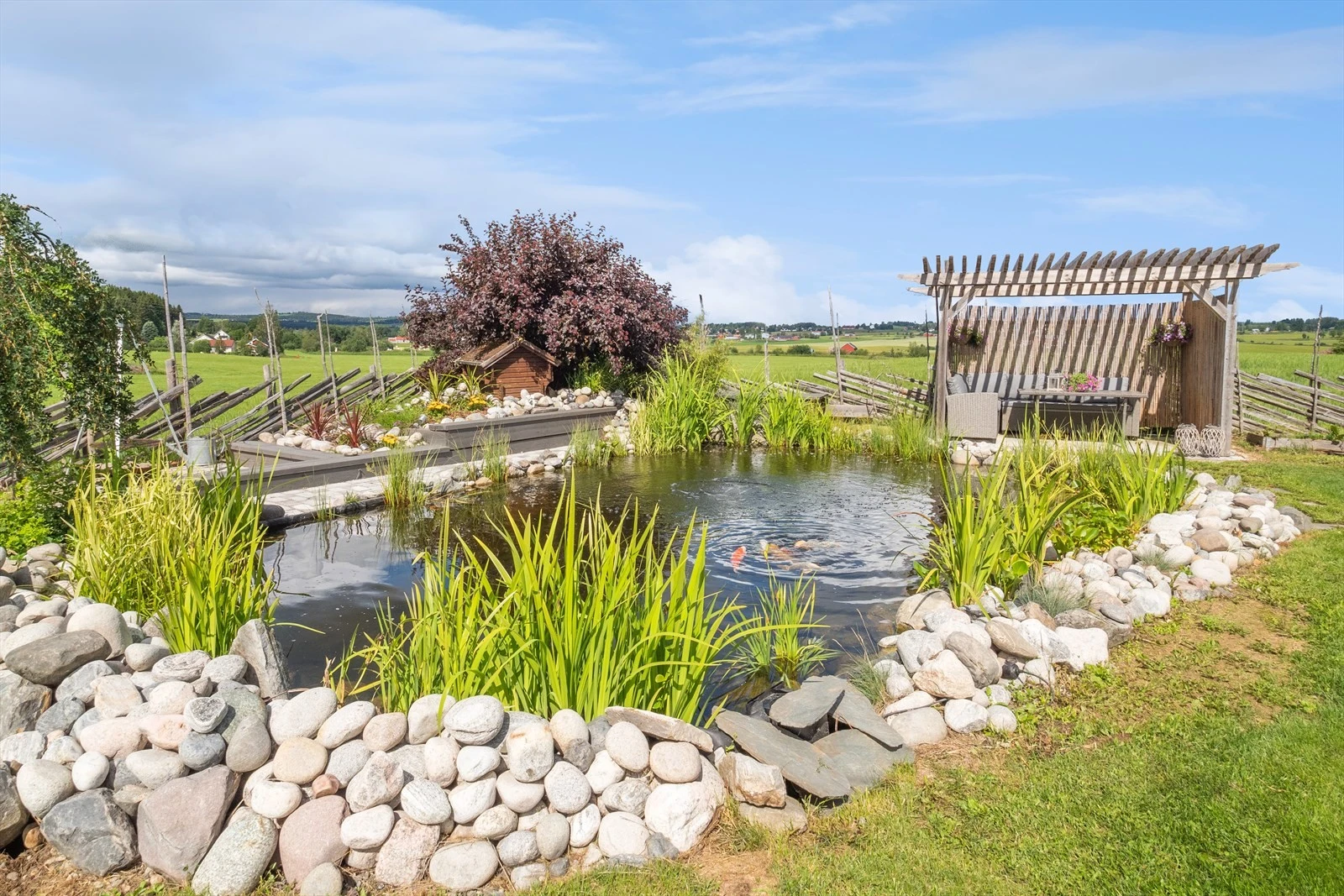 I dammen er det karper som medfølger i handelen. Galleribilde