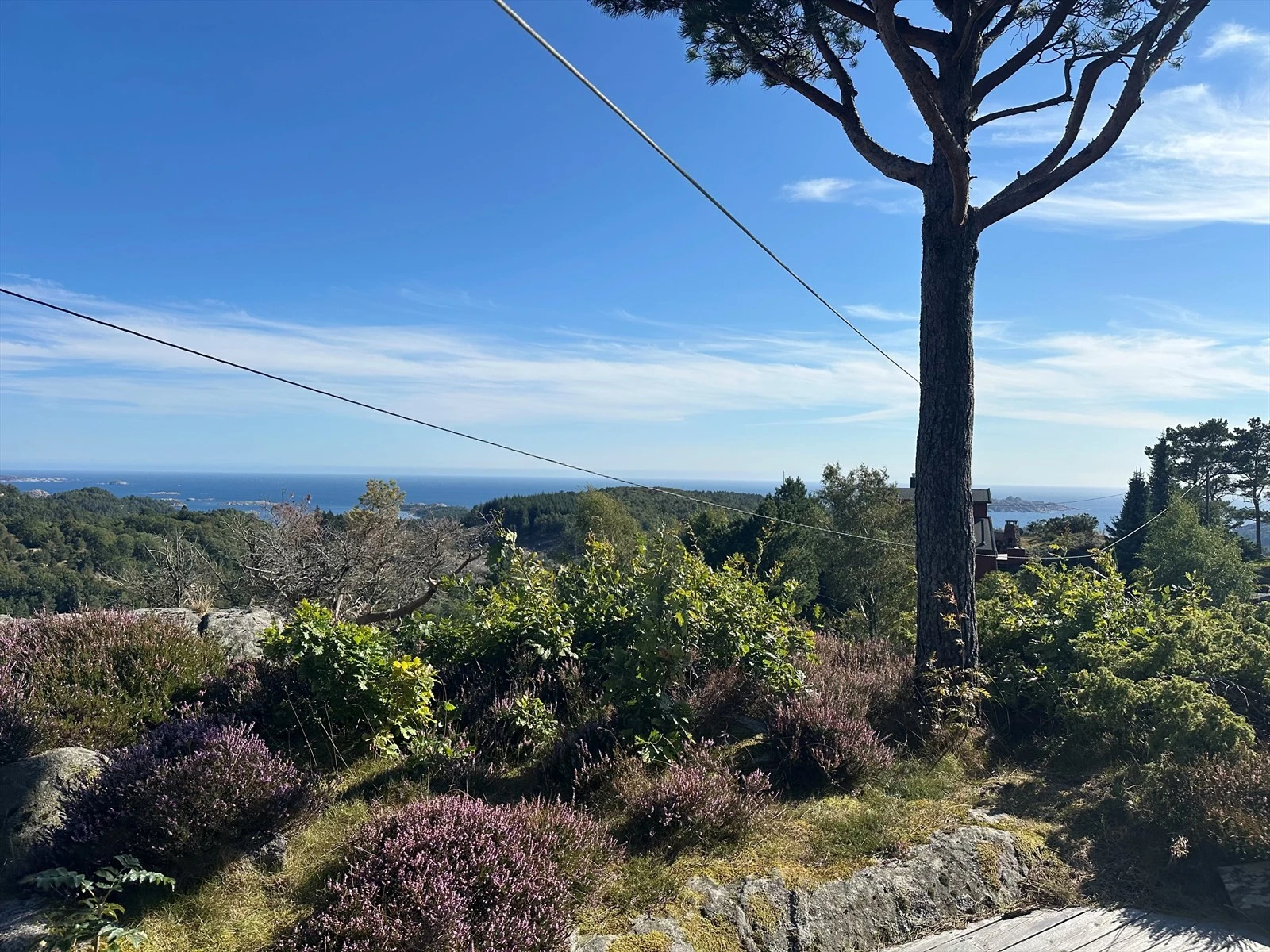 Utsikt mot sør - øst Galleribilde