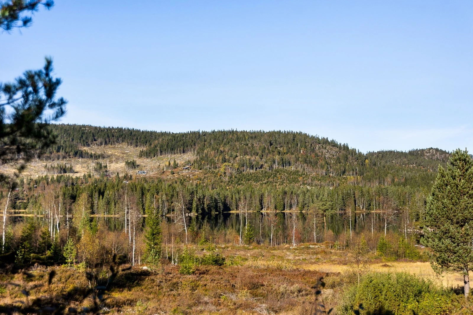 Et hytteområde med ro, privatliv og ekte hytteidyll Galleribilde