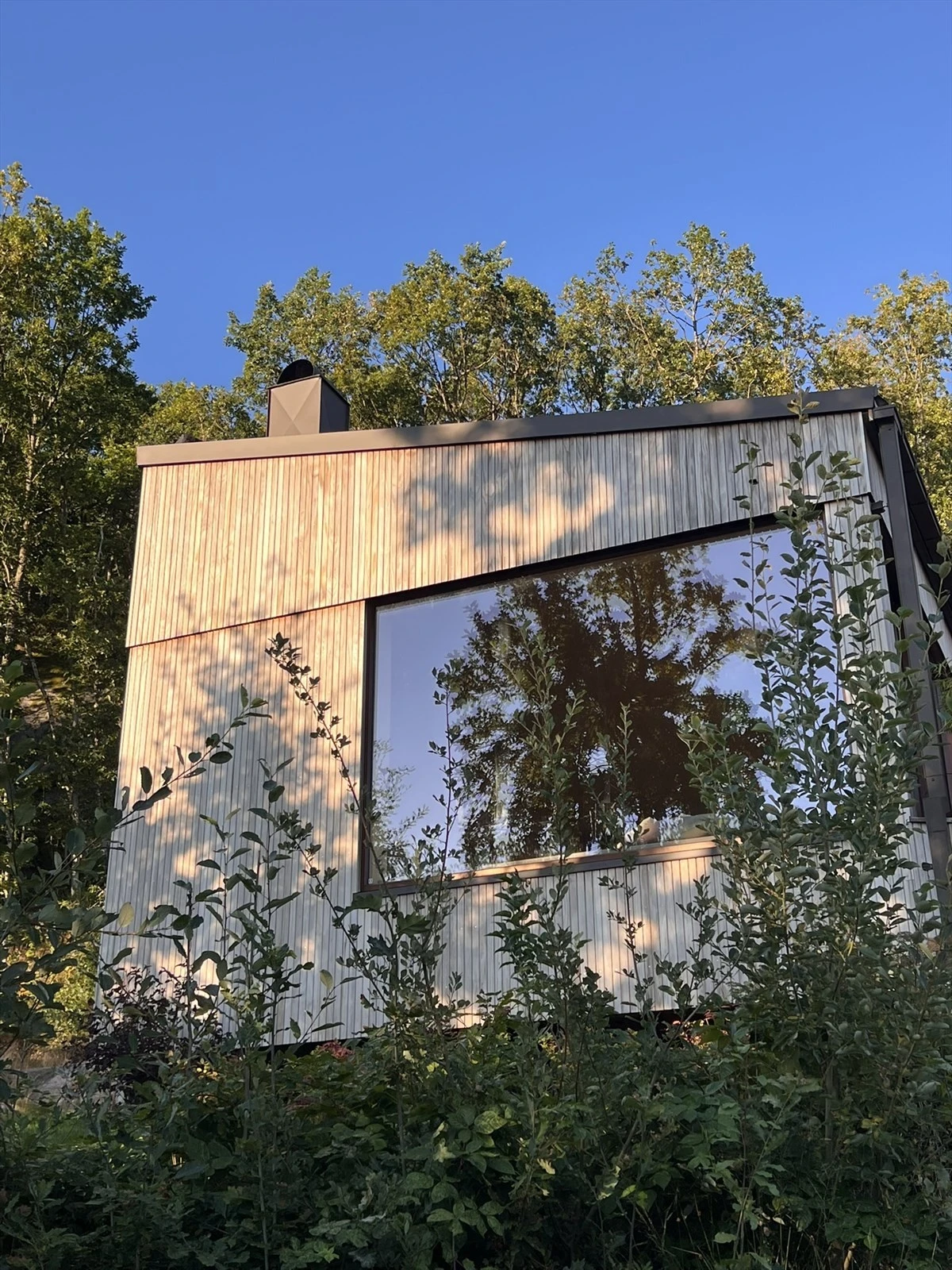 I stua er det et stort vindu som bringer naturen inn. Galleribilde