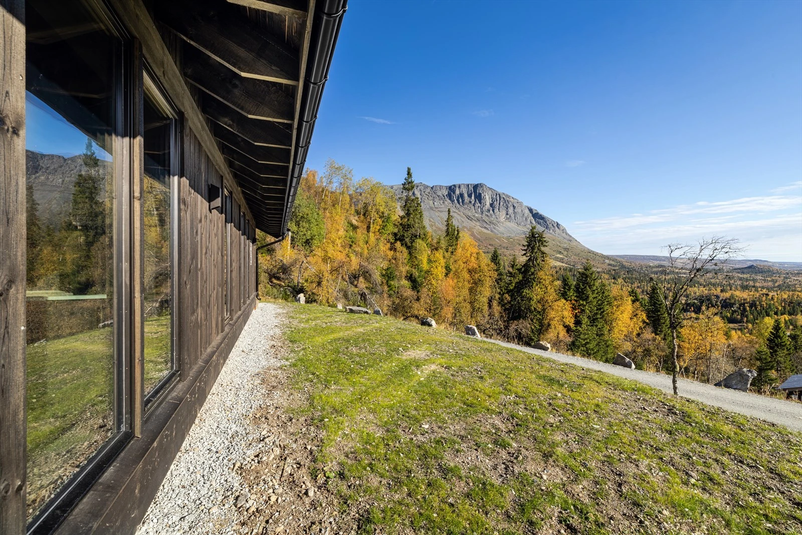 Høstfarger med Skogshorn i bakgrun Galleribilde