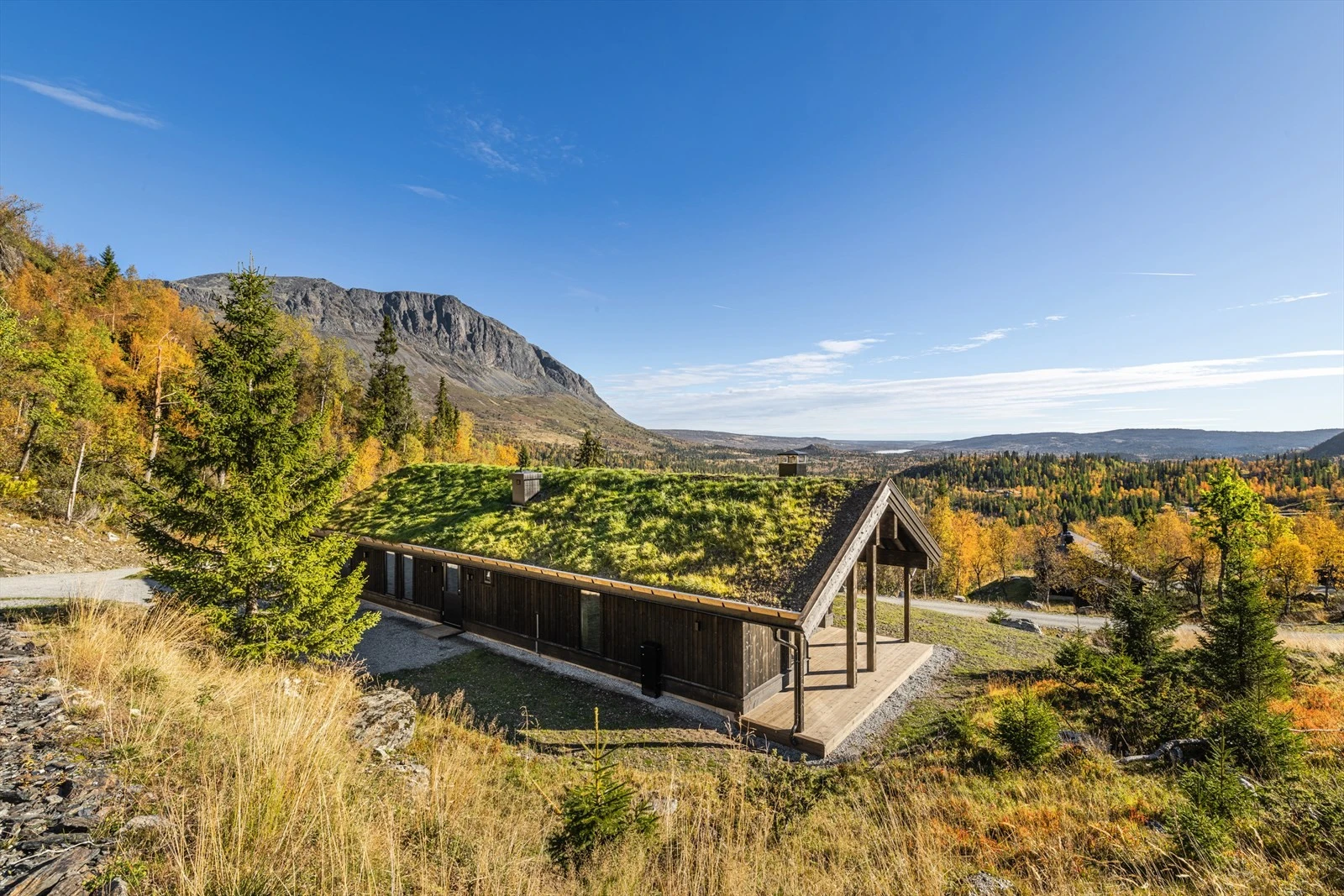 Høyt og fritt i terrenget Galleribilde