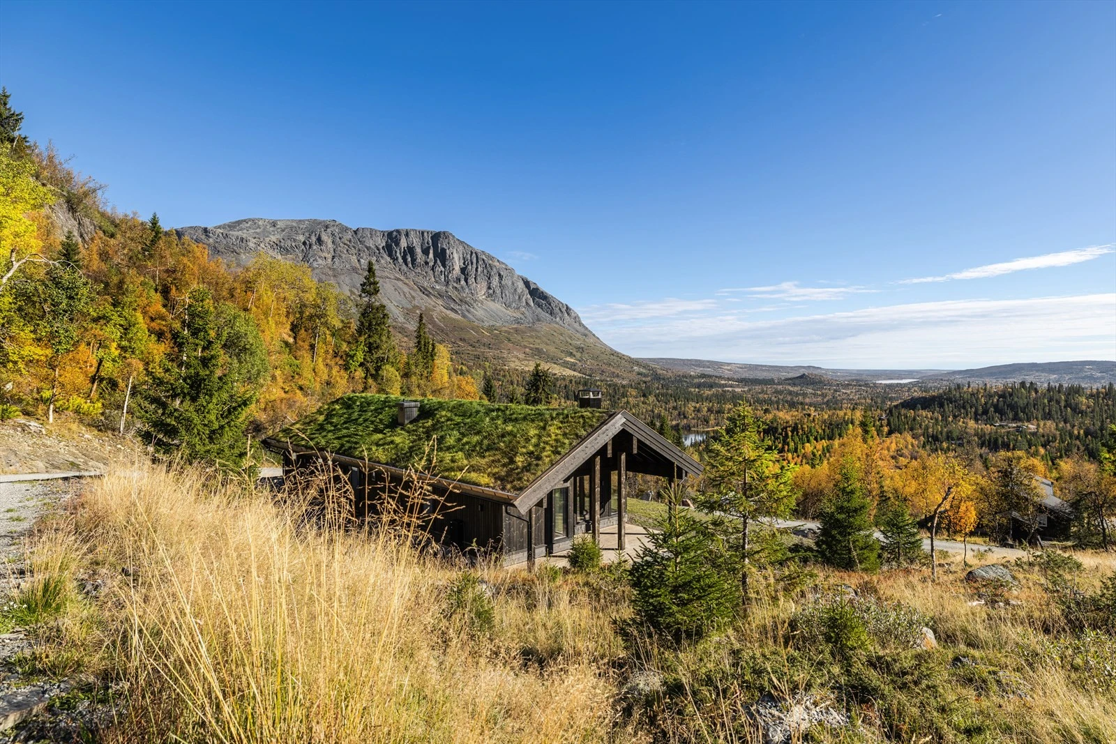 Fantastisk beliggenhet i et av Hemsedals fineste fjell eldoradoer med storslagen utsikt Galleribilde