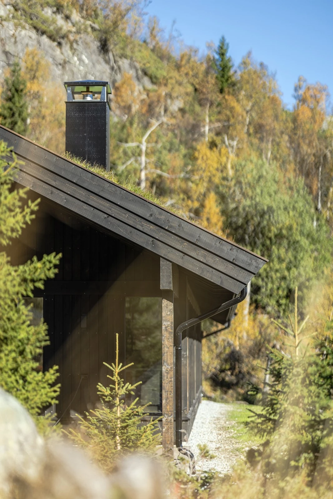 Høst i fjellet Galleribilde