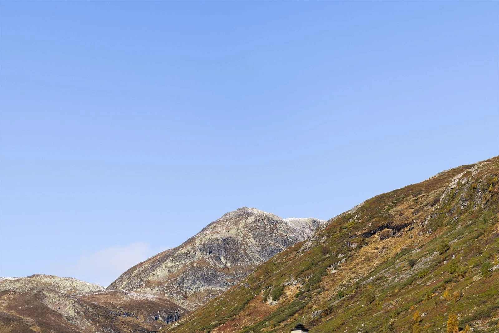 Nysnø på toppen Galleribilde