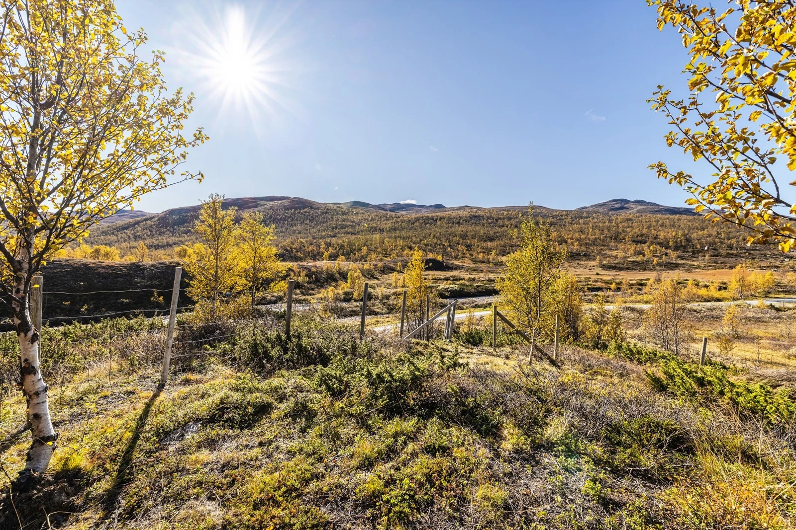 Utsikt fra tomten Galleribilde