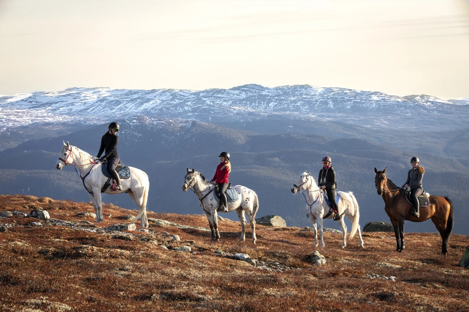 Fra toppen av Kristnatten- bare en drøy time til fots fra Turufjell Kafe Galleribilde