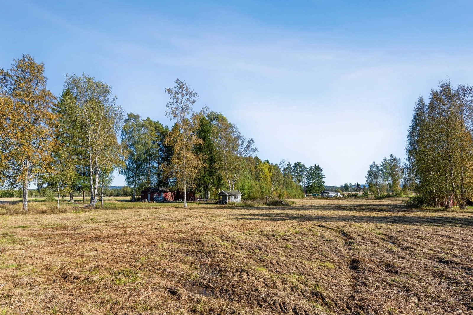 Tomt på totalt 11 388 kvm. Galleribilde