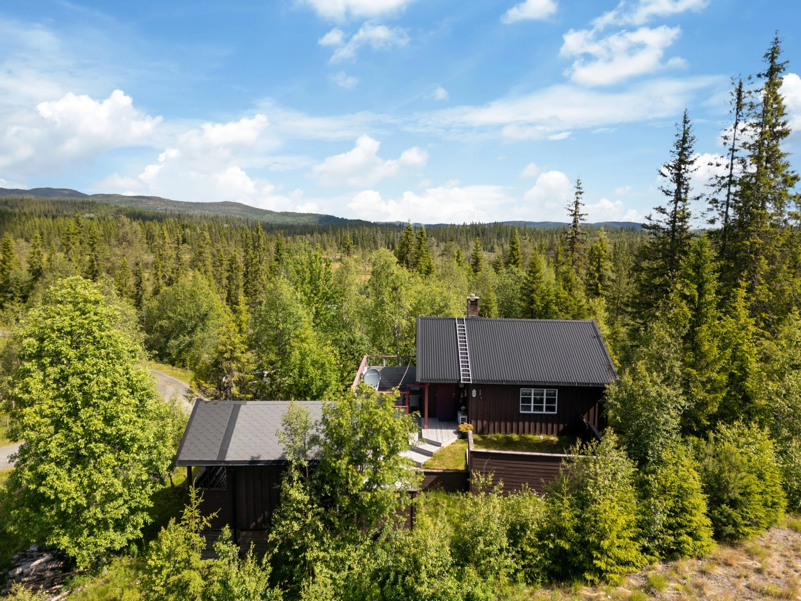 I nærområdet er det fint terreng for bær om høsten - multer, tyttebær og blåbær kan plukkes rett utenfor hyttedøra Galleribilde
