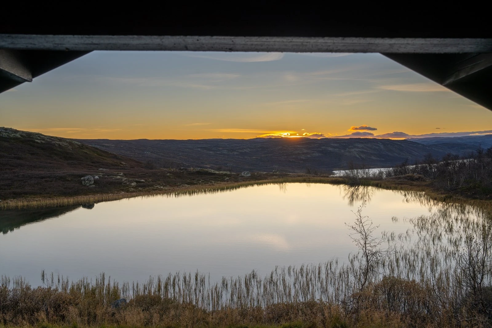 Bildene taler for seg.... Galleribilde