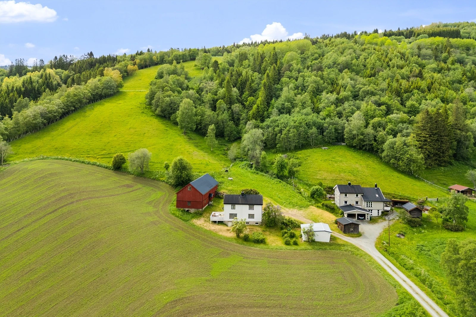 Nærmeste dagligvarebutikk ligger kun 1,8 km fra eiendommen. Galleribilde