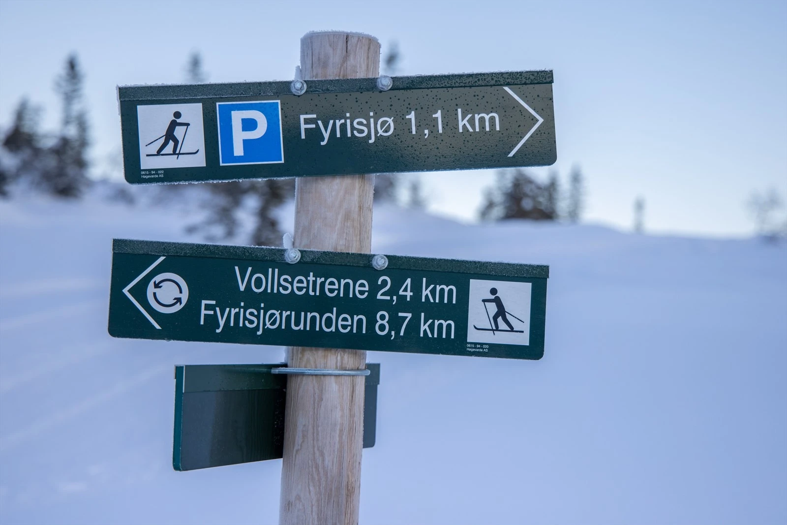 Det finnes utallige muligheter for ski med et bredt løypenet Galleribilde