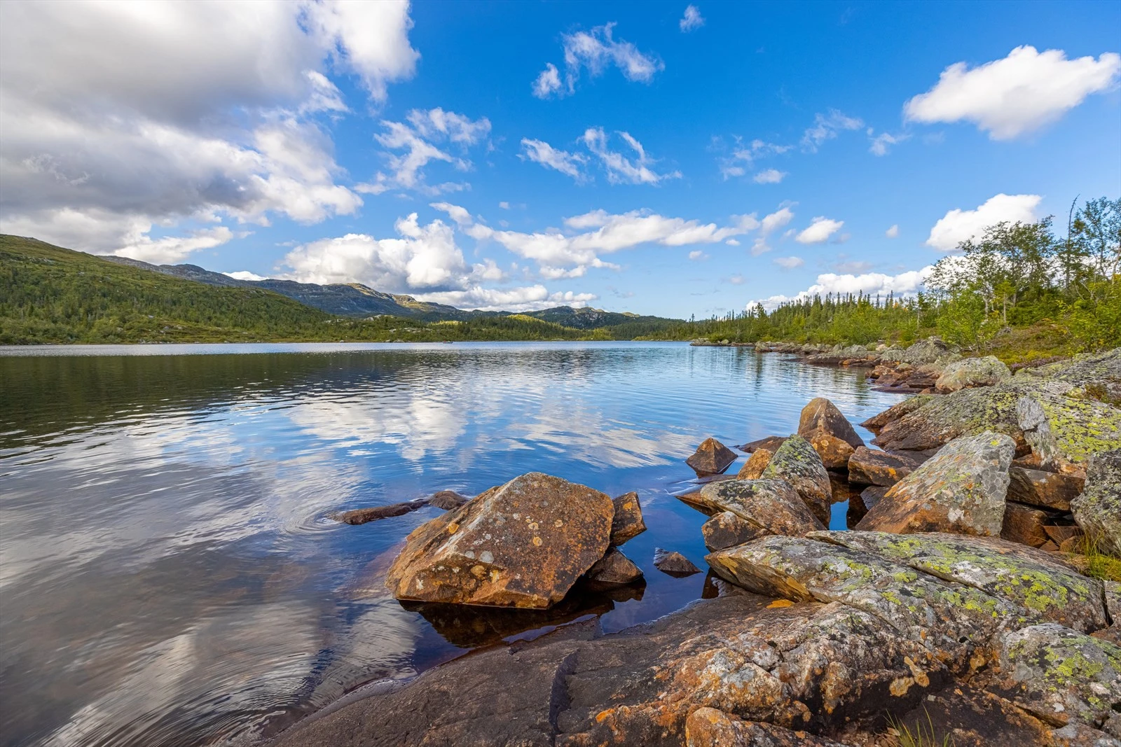 Det største vannet Fyrisjø Galleribilde