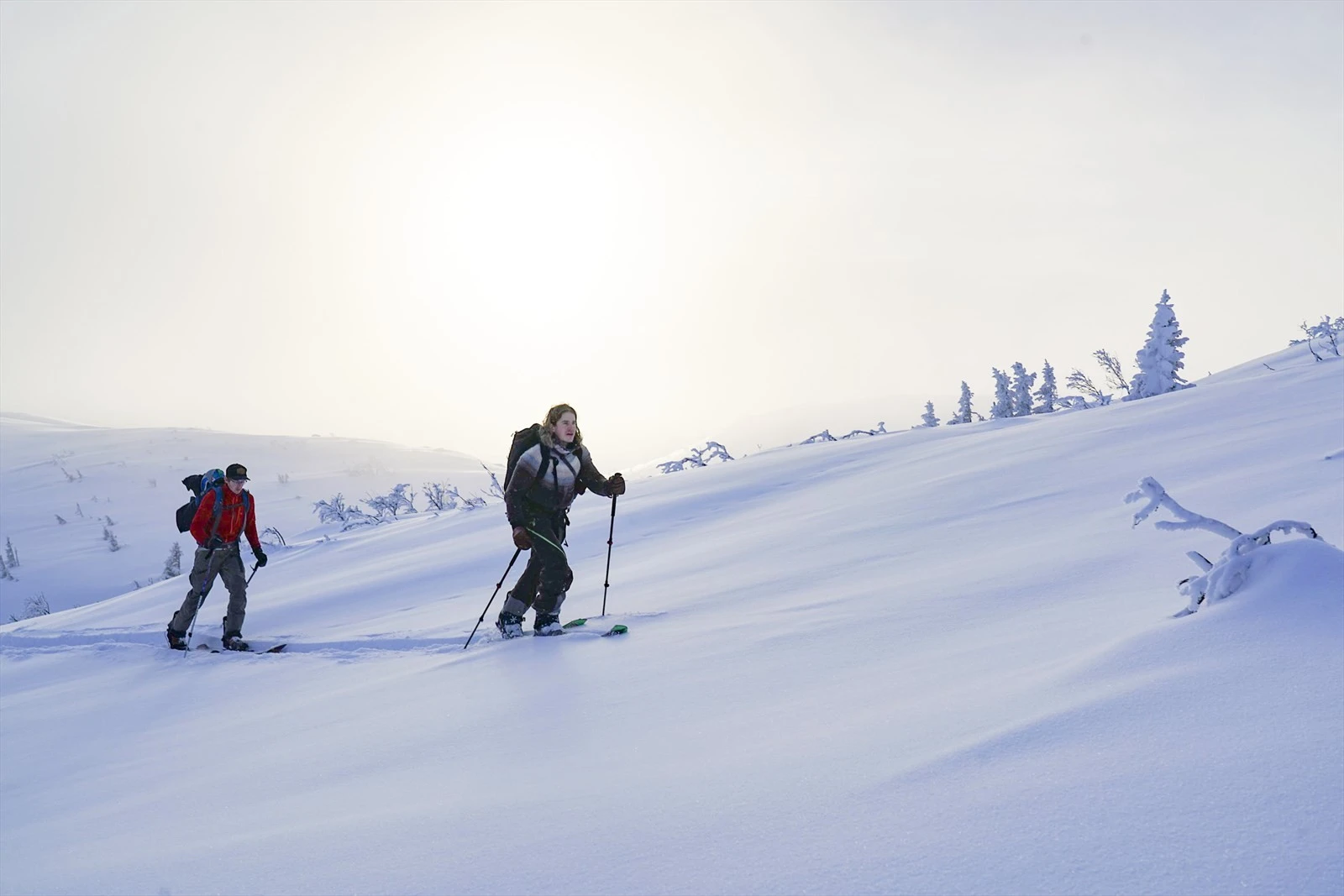 Høgevarde byr på muligheter for fine toppturer med runs både tilbake til hyttefeltene men også nedover mot dalen Galleribilde