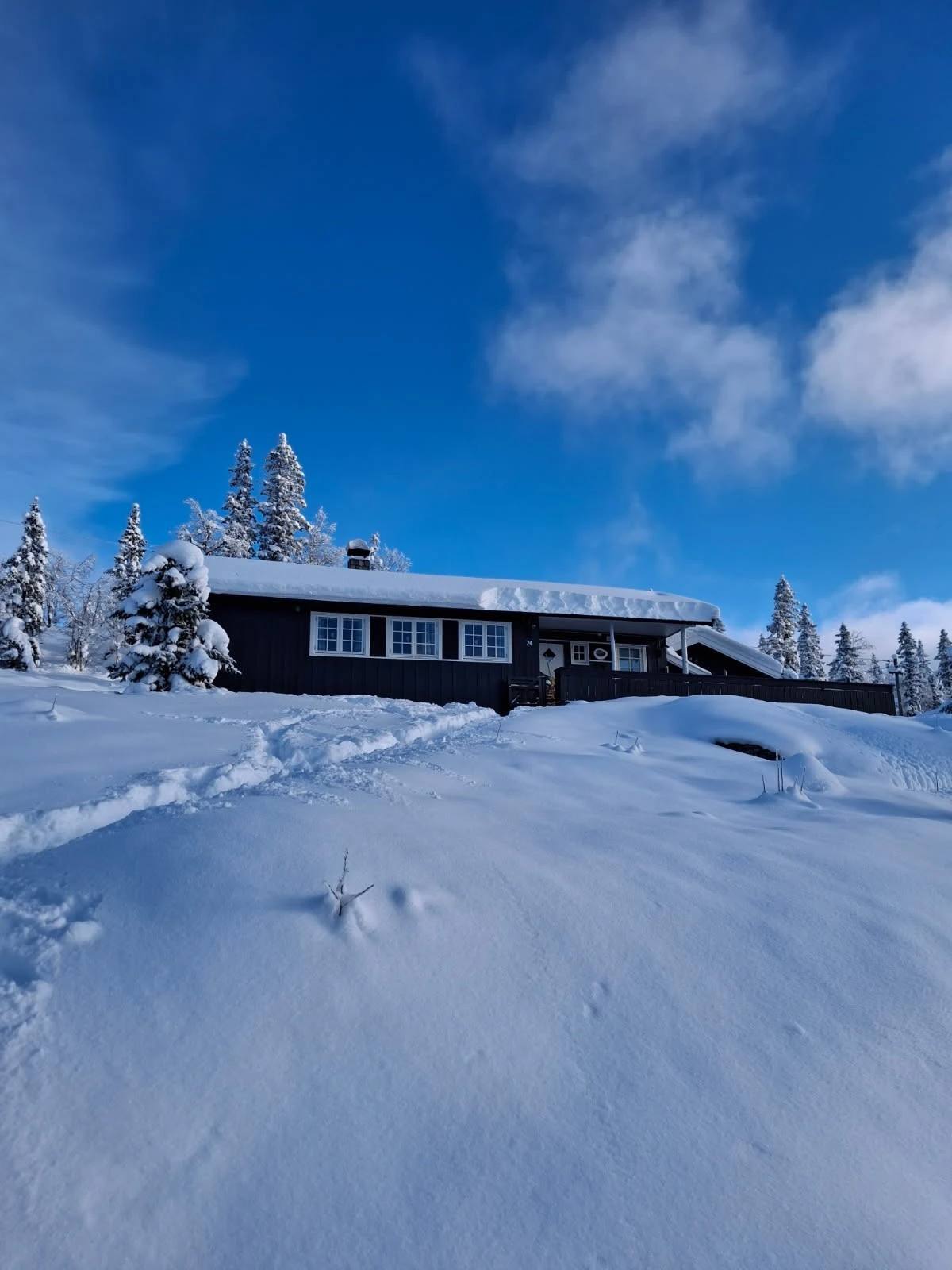 Rolig og fredelig hyttefelt på Tempelseter med flott natur rett utenfor døren.