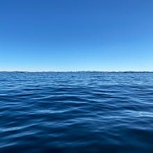 profilbilde for gedin