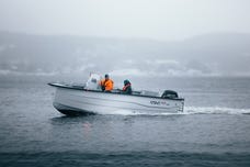 Sting 725 Pro Open Pro+ pakke powered by Mercury F 115 CT EFI - Innbytte/Finans