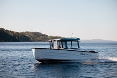 Sting 725 Pro HT Pro+ pakke powered by Mercury F 150 EFI - Innbytte/Finans