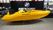 SeaStorm 14 HPDE Advantage powered by Mercury F 25 ELPT EFI