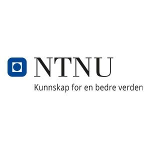 NTNU - Norges teknisk-naturvitenskapelige universitet logo