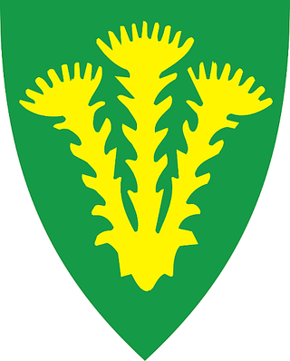 Nannestad kommune VenneBo Borettslag logo