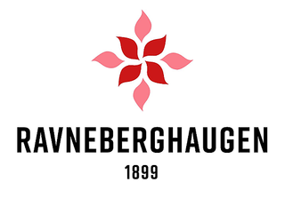 Ravneberghaugen - senter for mestring og rehabilitering logo