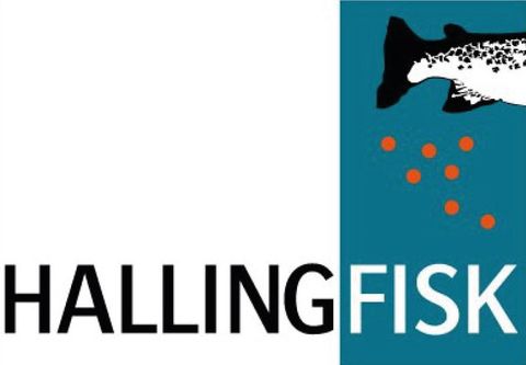 Hallingfisk AS-logo