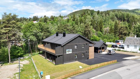 Bilde 1 av annonsen