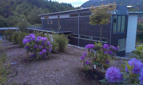 Bilde 2 av annonsen