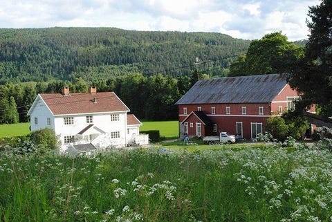 Bilde 1 av annonsen