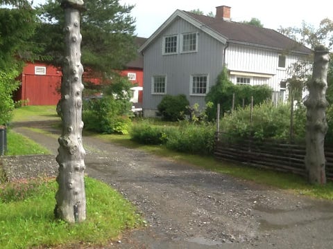 Bilde 1 av annonsen