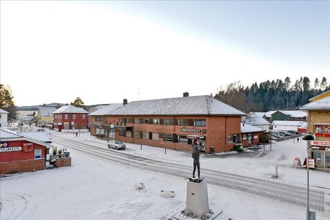 Bilde 1 av annonsen