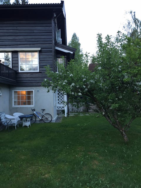 Bilde 2 av annonsen