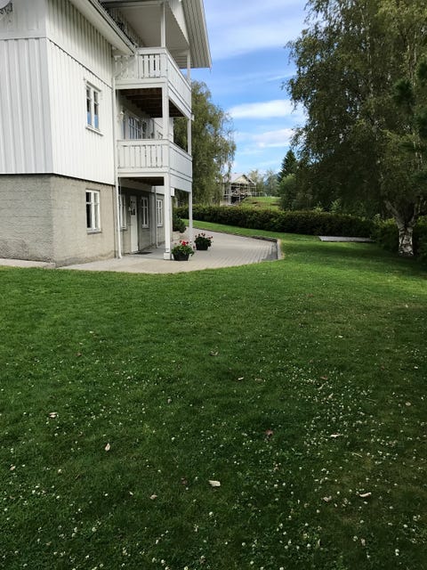 Bilde 2 av annonsen