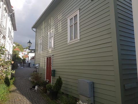 Bilde 1 av annonsen