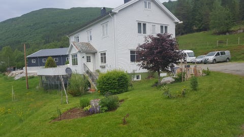 Bilde 1 av annonsen