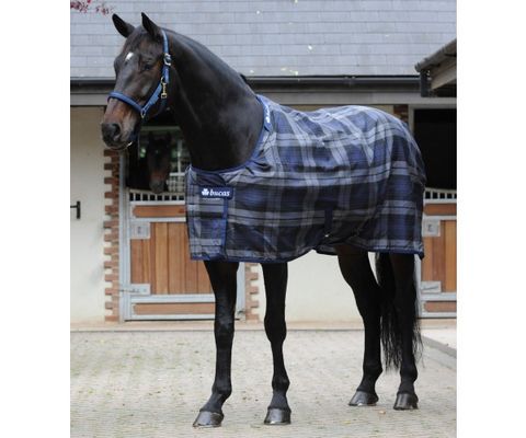 Nytt og brukt annonser | FINN Torget Mountain Horse Amber Jakke Pets Kløfta & Minhestebutikk
