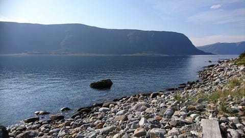 Bilde 1 av annonsen