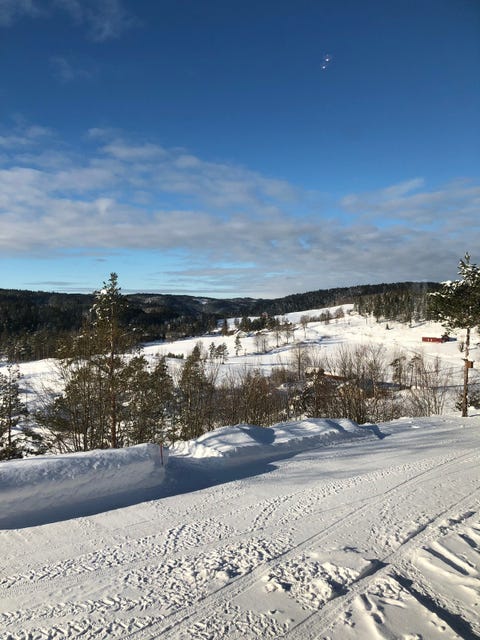 Bilde 1 av annonsen