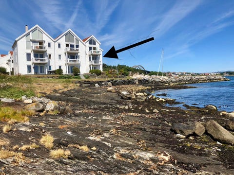 Bilde 1 av annonsen