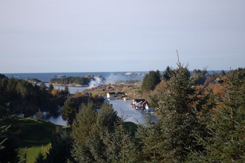 Steinsbø bømlo