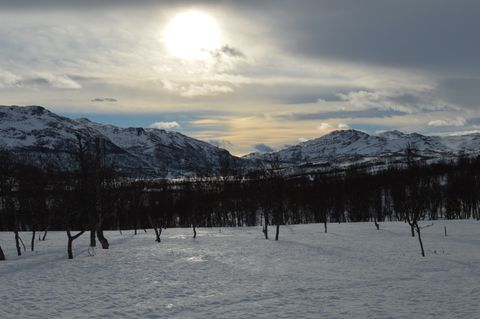 Kåsengtrøa, Oppdal