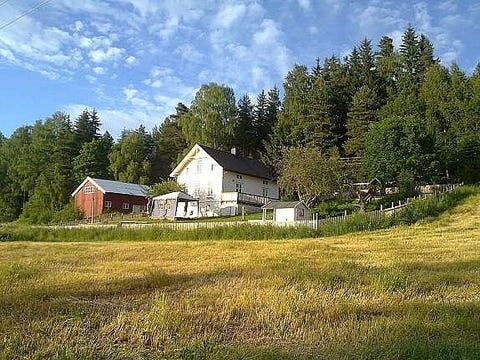 Bilde 1 av annonsen
